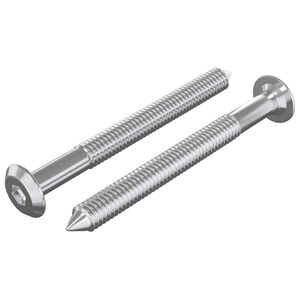 vidaXL B&uacute;torcsavarok 2 pcs Ez&uuml;st M6 x 60 mm Ac&eacute;l