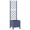 Blue_grey