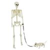 vidaXL Halloween Dekor&aacute;ci&oacute; Skeleton 2 pcs Feh&eacute;r Polipropil&eacute;n