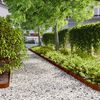 vidaXL 50 db rugalmas corten ac&eacute;l gyepszeg&eacute;ly 10 x 103 cm