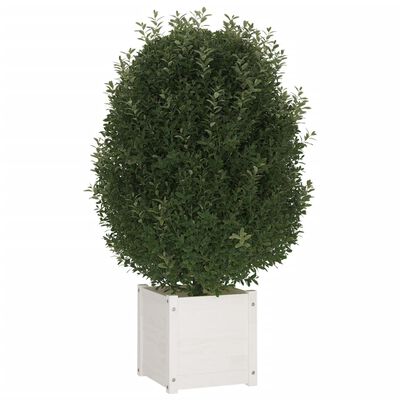 vidaXL fehér kerti tömör fenyőfa virágtartó 40 x 40 x 40 cm