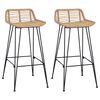 vidaXL B&aacute;rsz&eacute;k 2 db Term&eacute;szetes 44 x 45 x 76 cm Rattan &eacute;s ac&eacute;l