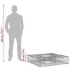 Term&eacute;kindexk&eacute;p: 10 / 10