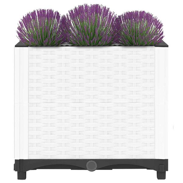 3 / 8. term&eacute;kk&eacute;p megjelen&iacute;t&eacute;se