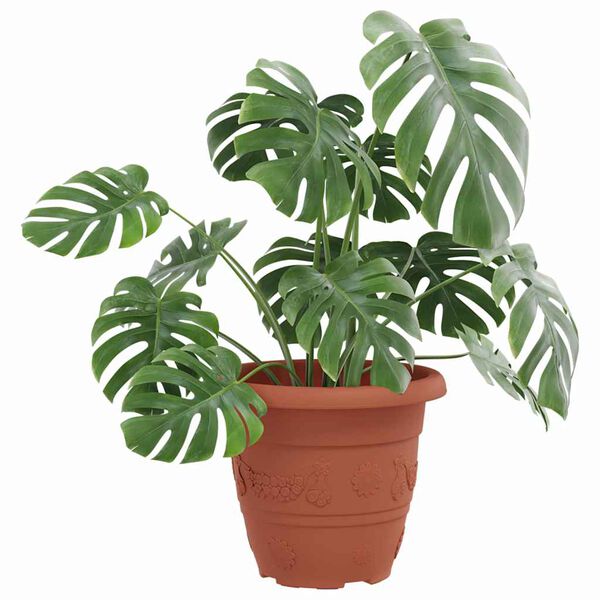 3 / 9. term&eacute;kk&eacute;p megjelen&iacute;t&eacute;se