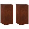 vidaXL N&ouml;v&eacute;ny&aacute;llv&aacute;ny 2 pcs Rozsd&aacute;s 30 x 30 x 60 cm Időj&aacute;r&aacute;s&aacute;ll&oacute; Ac&eacute;l