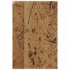 Term&eacute;kindexk&eacute;p: 8 / 13