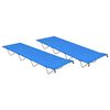 vidaXL 2 db k&eacute;k oxford sz&ouml;vet &eacute;s ac&eacute;l kemping&aacute;gy 180 x 60 x 19 cm