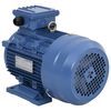 vidaXL 2 p&oacute;lus&uacute; 3 f&aacute;zis&uacute; alum&iacute;nium elektromos motor 3kW/4LE 2840 f/p