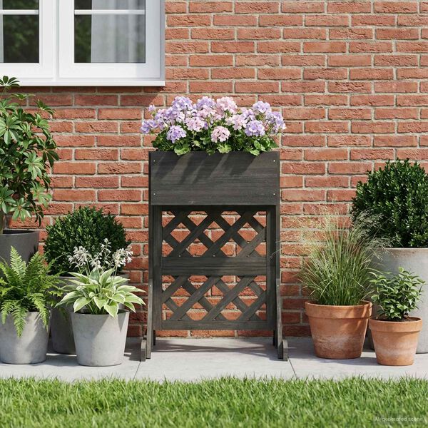 4 / 10. term&eacute;kk&eacute;p megjelen&iacute;t&eacute;se