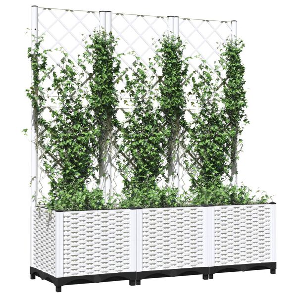3 / 8. term&eacute;kk&eacute;p megjelen&iacute;t&eacute;se