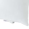 Term&eacute;kindexk&eacute;p: 11 / 12