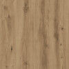 Term&eacute;kindexk&eacute;p: 12 / 13