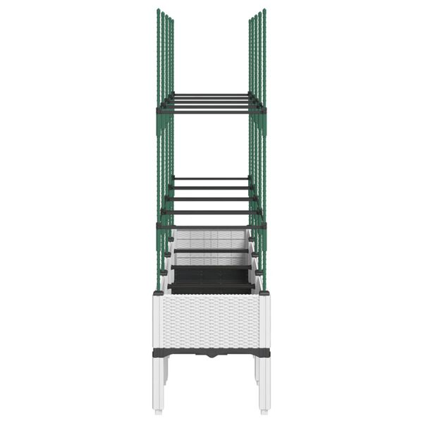 4 / 7. term&eacute;kk&eacute;p megjelen&iacute;t&eacute;se