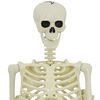 vidaXL Halloween Dekor&aacute;ci&oacute; Skeleton 2 pcs Feh&eacute;r Polipropil&eacute;n