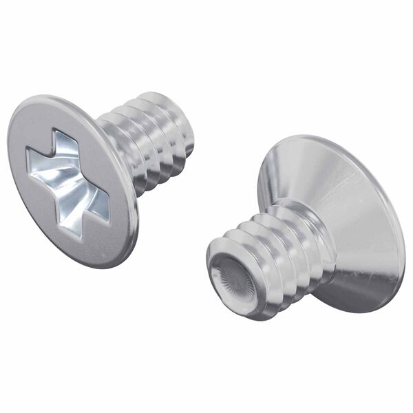 vidaXL S&uuml;llyesztett fejű csavarok 2 pcs Ez&uuml;st M4 x 6 mm Ac&eacute;l