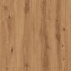 Term&eacute;kindexk&eacute;p: 10 / 11