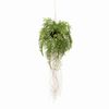 Emerald f&uuml;ggő műp&aacute;fr&aacute;ny gy&ouml;k&eacute;rrel 55 cm