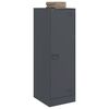 vidaXL antracitsz&uuml;rke ac&eacute;l t&aacute;lal&oacute;szekr&eacute;ny 34,5x39x107 cm