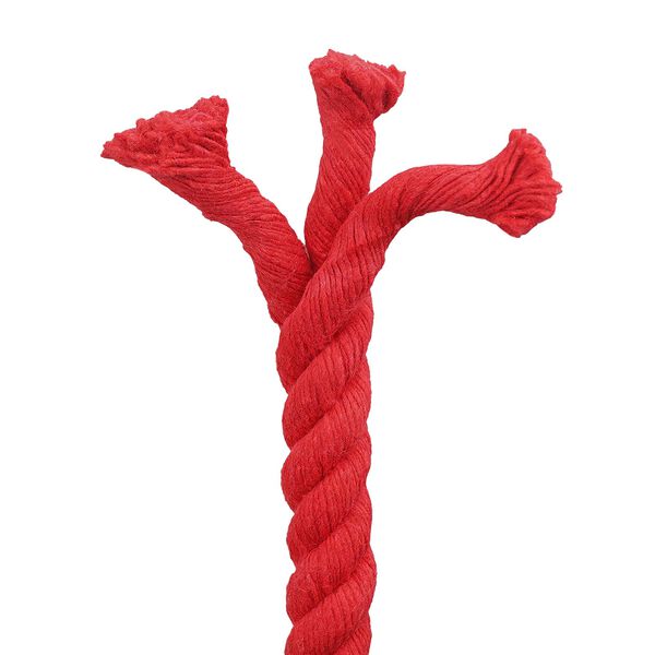 4 / 5. term&eacute;kk&eacute;p megjelen&iacute;t&eacute;se