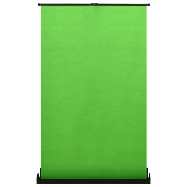 vidaXL zöld fényképészeti háttér 95" 4:3