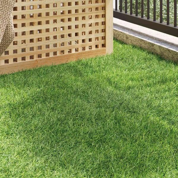 3 / 10. term&eacute;kk&eacute;p megjelen&iacute;t&eacute;se