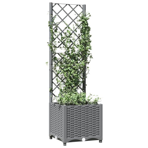 3 / 8. term&eacute;kk&eacute;p megjelen&iacute;t&eacute;se
