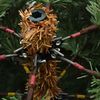 Term&eacute;kindexk&eacute;p: 9 / 13