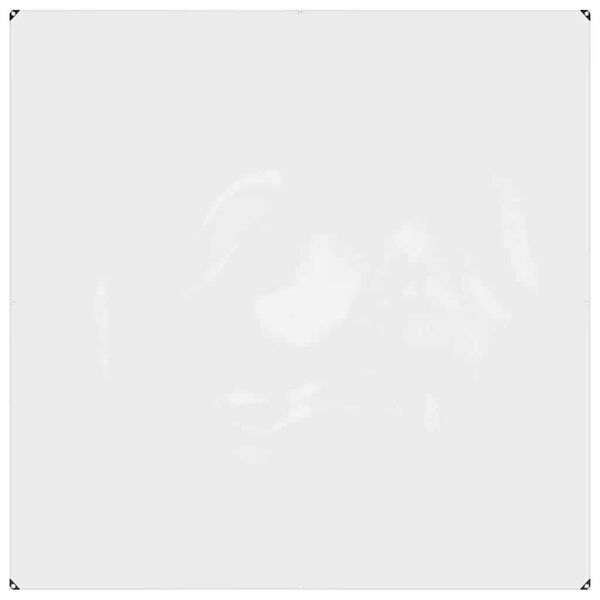 vidaXL átlátszó PVC ponyva fűzőlyukakkal 2x2 m