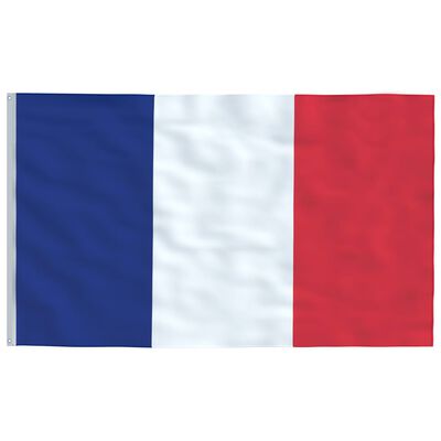 vidaXL francia alumínium zászló és rúd 5,55 m