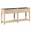 vidaXL Kerti cser&eacute;p polcokkal B&eacute;zs 161 x 43 x 76,5 cm Szil&aacute;rd fenyőfa