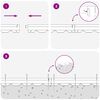 Term&eacute;kindexk&eacute;p: 9 / 10