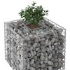 vidaXL Gabion emelt &aacute;gy Ez&uuml;st 60 x 60 x 55 cm Horganyzott ac&eacute;l
