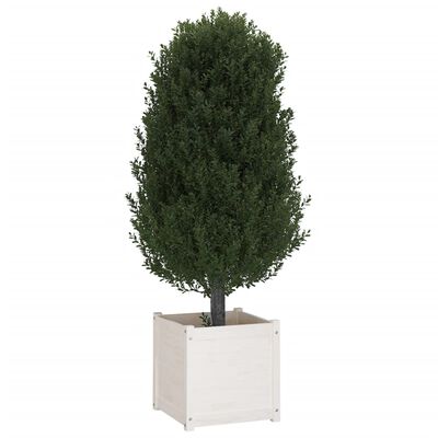 vidaXL fehér tömör fenyőfa kerti virágláda 50x50x50 cm