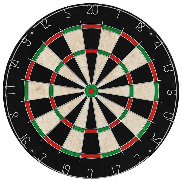 vidaXL szizál professzionális darts tábla 6 nyíllal és tábla védővel
