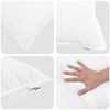 Term&eacute;kindexk&eacute;p: 7 / 8