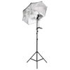 Term&eacute;kindexk&eacute;p: 4 / 19