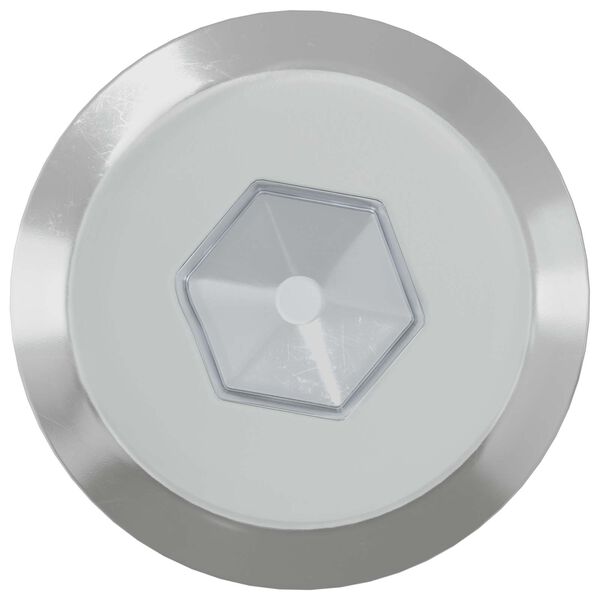 vidaXL B&uacute;torcsavarok 2 pcs Ez&uuml;st M6 x 60 mm Ac&eacute;l