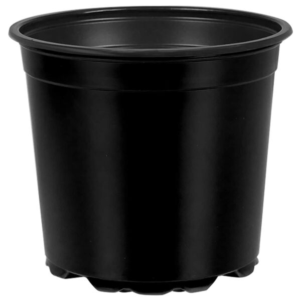 1 / 11. term&eacute;kk&eacute;p megjelen&iacute;t&eacute;se
