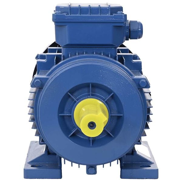 vidaXL 2 p&oacute;lus&uacute; 3 f&aacute;zis&uacute; alum&iacute;nium elektromos motor 2,2kW/3LE 2840 f/p