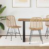 vidaXL &Eacute;tkezősz&eacute;k 2 pcs Term&eacute;szetes 44 x 47 x 85 cm Rattan &eacute;s Vas