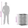 vidaXL Gabion emelt &aacute;gy Ez&uuml;st 50 x 50 x 80 cm Horganyzott ac&eacute;l