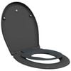 vidaXL WC &uuml;lőke Antracit 47 x 37 x 4 cm Duroplast