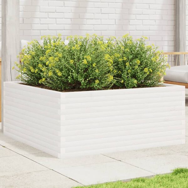 2 / 10. term&eacute;kk&eacute;p megjelen&iacute;t&eacute;se