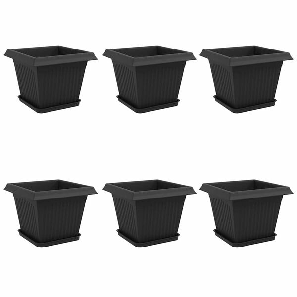 1 / 12. term&eacute;kk&eacute;p megjelen&iacute;t&eacute;se