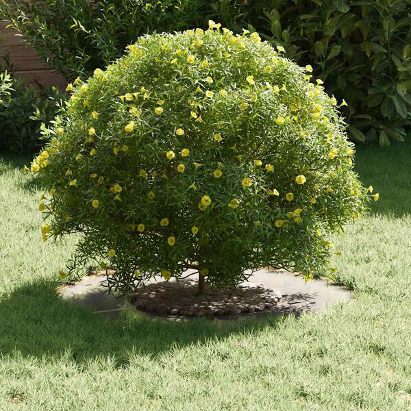 vidaXL Alkalmas lapos fa gyűrűhöz Ezüst Ø30 / 60 cm Rozsdamentes acél