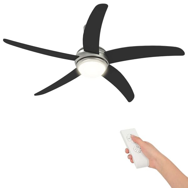 1 / 12. term&eacute;kk&eacute;p megjelen&iacute;t&eacute;se