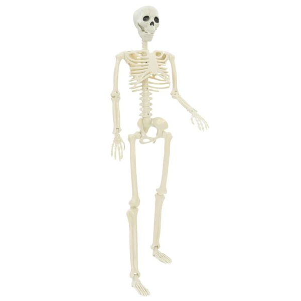 4 / 8. term&eacute;kk&eacute;p megjelen&iacute;t&eacute;se
