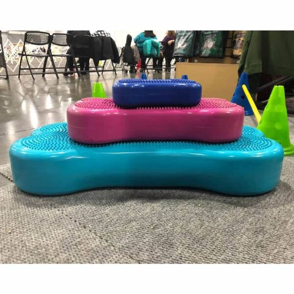 FitPAWS Giant K9FITbone vízszínű kisállat-egyensúlyozó platform