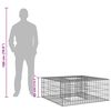 vidaXL Gabion emelt &aacute;gy Ez&uuml;st 100 x 100 x 40 cm Horganyzott ac&eacute;l